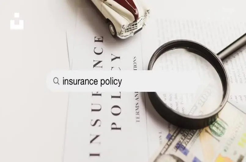 Who is an appointee in a life insurance policy?